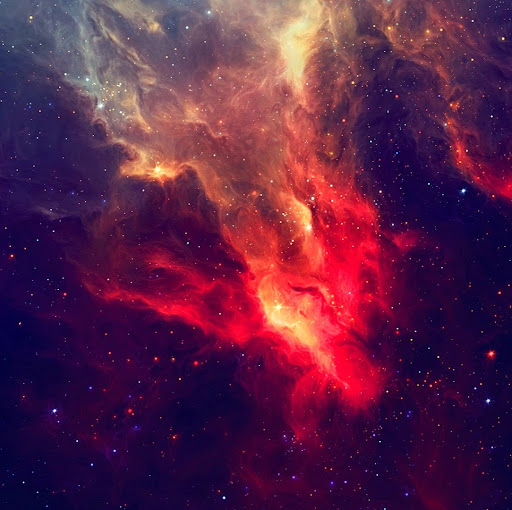 Juanito Munoz Photo 2