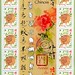 Xiaohong Li Photo 14