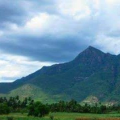 Ramkumar Krishnan Photo 17