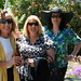 Debbie Dolan Photo 13