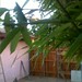 Manuel Nevarez Photo 22