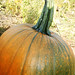 Jessica Watters Photo 22