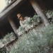Mike Atkinson Photo 30