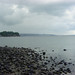 Steve Penrose Photo 15