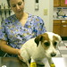 Russell Hurt Photo 8