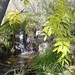 Jerome Spring Photo 9