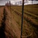Francis Mckay Photo 11