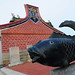 Shuang Li Photo 23