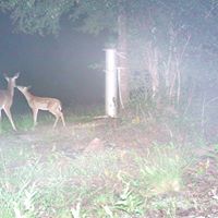 Debra Jordan Photo 35