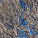 April Branch Photo 35