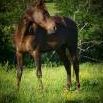 Jennifer Siler Photo 20