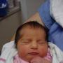 Nikki Erickson Photo 15