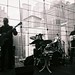 Patty Lincoln Photo 19