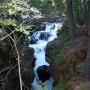 Brenda Thacker Photo 25