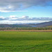 Sharon Fields Photo 10