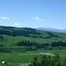 Joel Bozeman Photo 5
