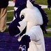 Mary Huskey Photo 17