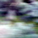 Mary Petersen Photo 17