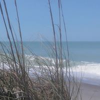 Diane Weeks Photo 36