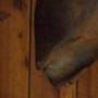 Christine Thomason Photo 15