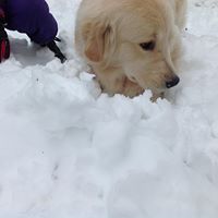 Suzanne Mccabe Photo 16