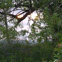 Ginny Larson Photo 11