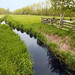 Joseph Meadows Photo 37