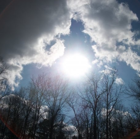 Terry Gossett Photo 16