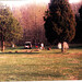 Rhonda Colson Photo 10