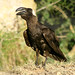David Shackleford Photo 25