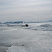 Jason Storm Photo 42