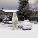 Jeff Winters Photo 8