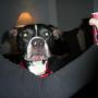 April Helms Photo 27
