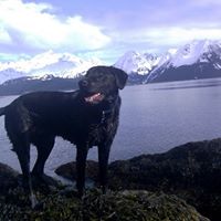 Gary Blount Photo 7