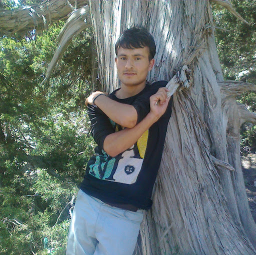 Shujaat Hussain Photo 10