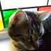 Peggy Love Photo 41