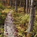 Steven Brooks Photo 15
