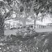 Allen Stein Photo 19