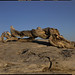 Jeffrey Sharp Photo 32