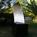 Marion Cook Photo 16