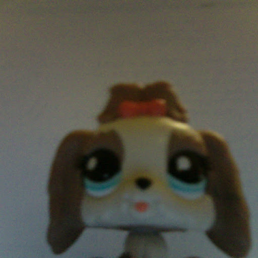 Julie Dooley Photo 4