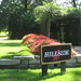 Dan Wheaton Photo 26