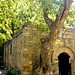 Mary House Photo 12