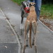 Jessie Nettles Photo 6
