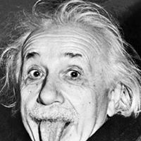 Albert Stein Photo 32