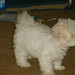 Mae Nichols Photo 6