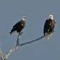 Vickie Sharp Photo 17