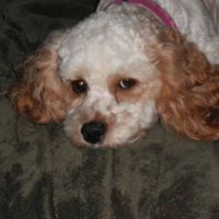 Kelly Schroeder Photo 22