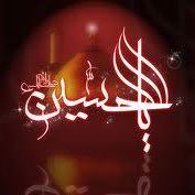 Syed Mehdi Photo 36