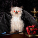 Ann Spence Photo 32